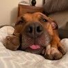 lori_vetter